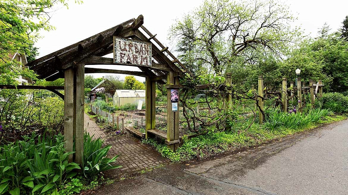 The Urban Farm